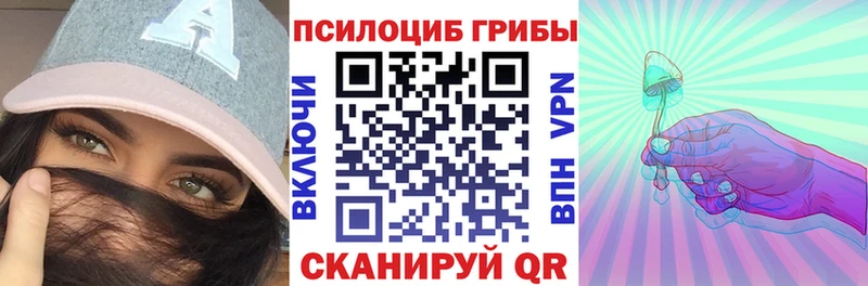 Галлюциногенные грибы Psilocybe  Купить  Тырныауз 